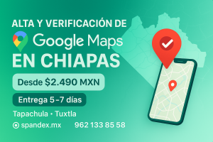Alta y verificación de Google Maps en Chiapas