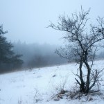 # La revolución de las vallas móviles en Tapachula: El poder publicitario de Spandex.mx