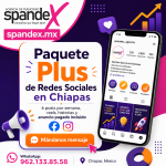 🚨 La diferencia entre un negocio que “sobrevive”…